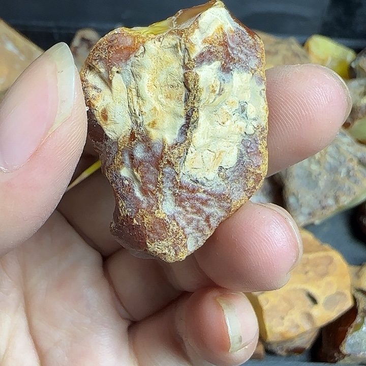 定制琥珀未镶嵌盾牌l