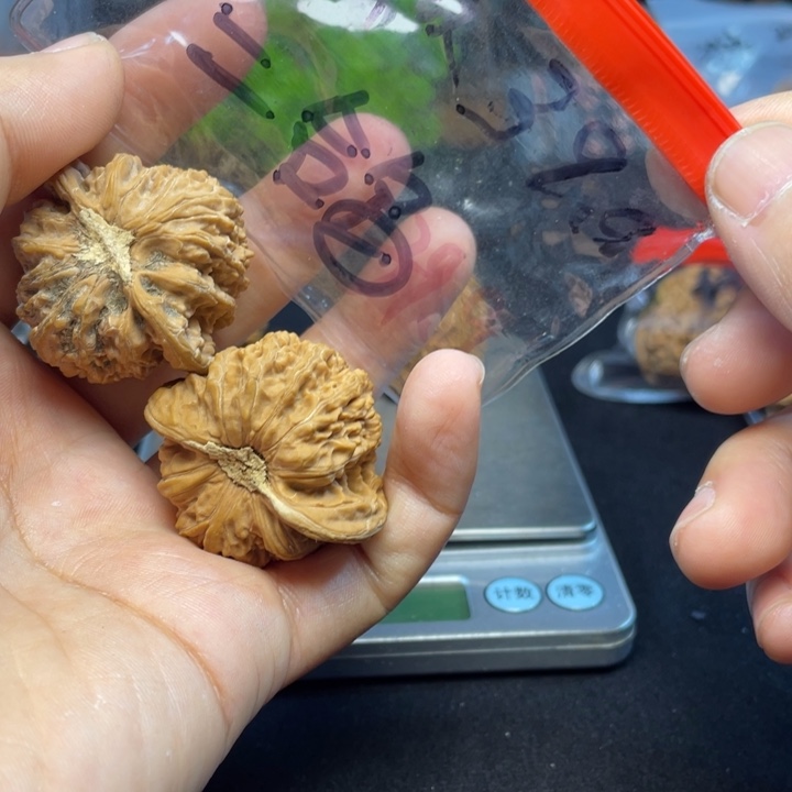 文玩核桃把件二*密纹