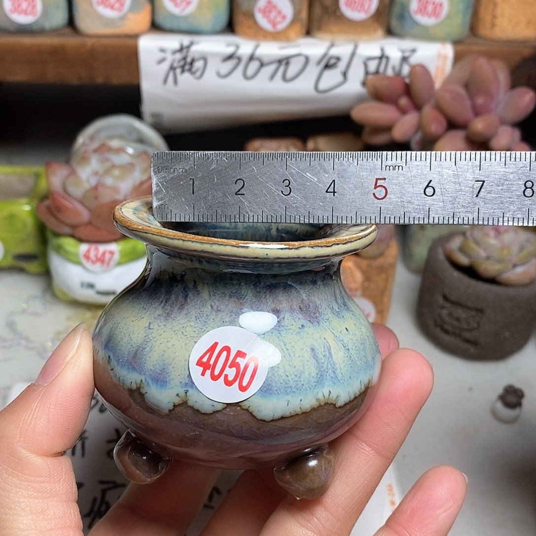 红陶拍5送一个小