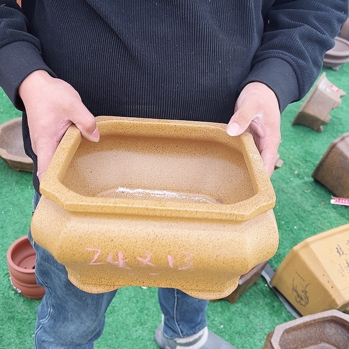 紫砂紫砂花盆花盆