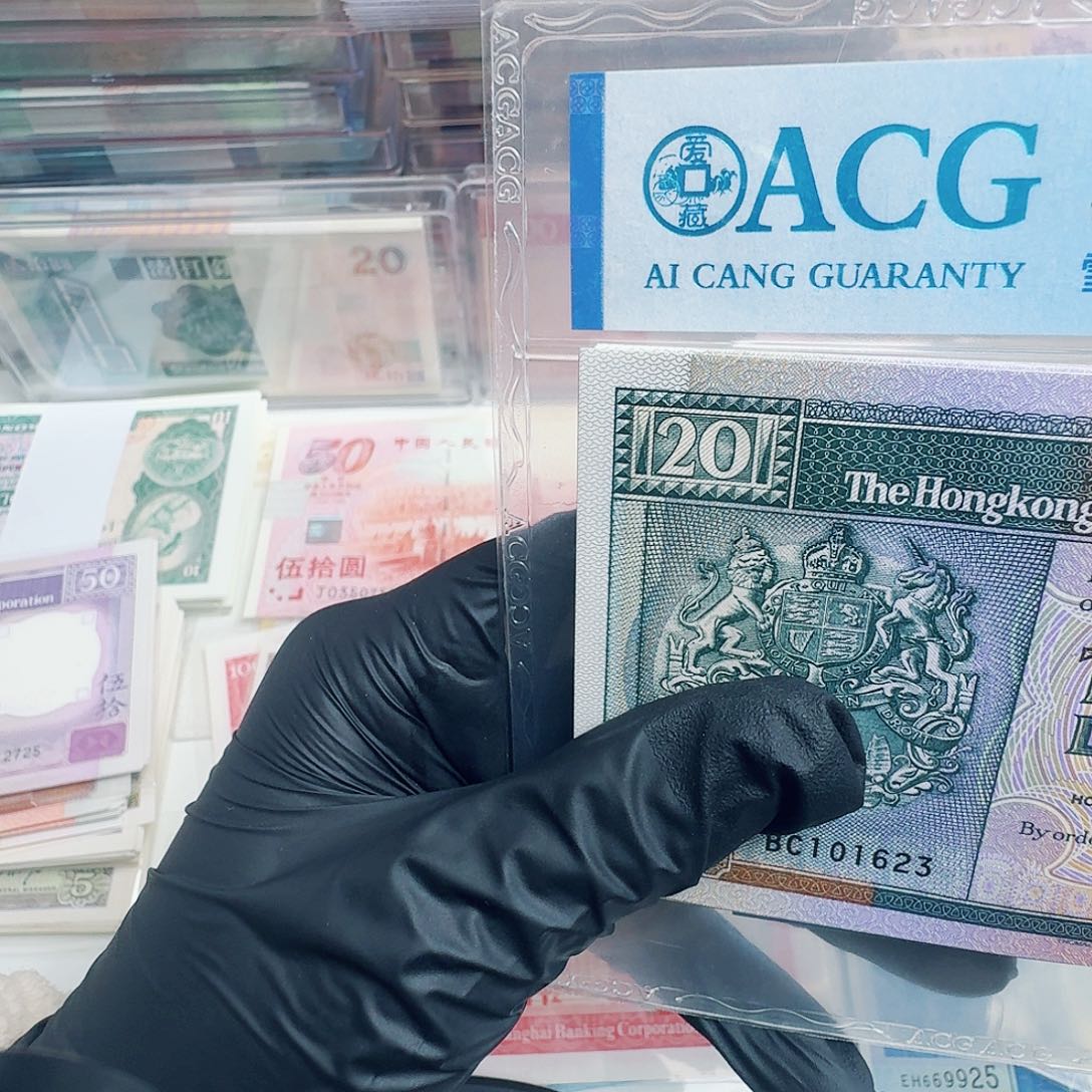 纸黑柴单张哈哈哈哈哈