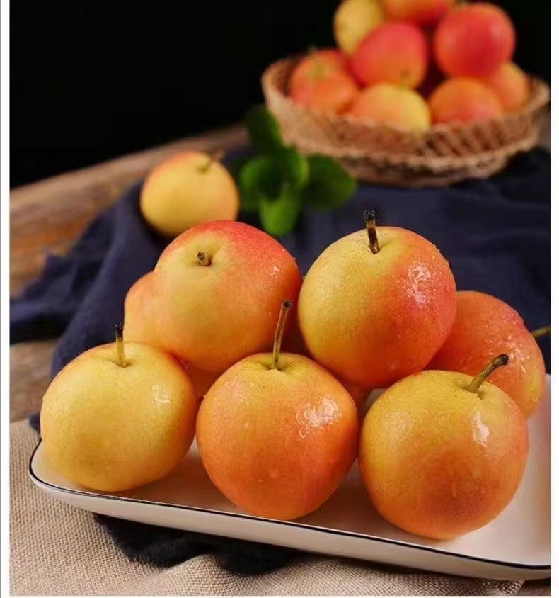 延边龙井特产安国梨包邮到家甜美多汁酒香味