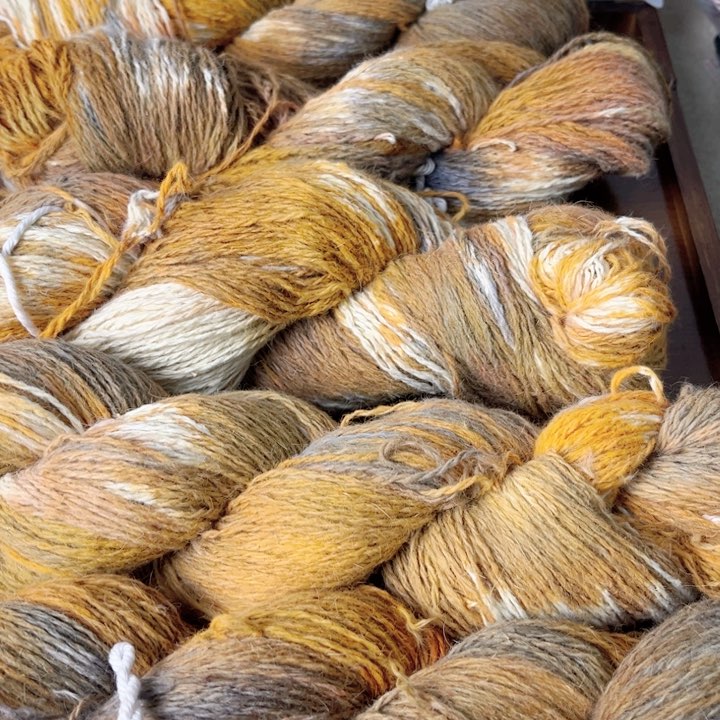 羊毛手染长毛貂38号