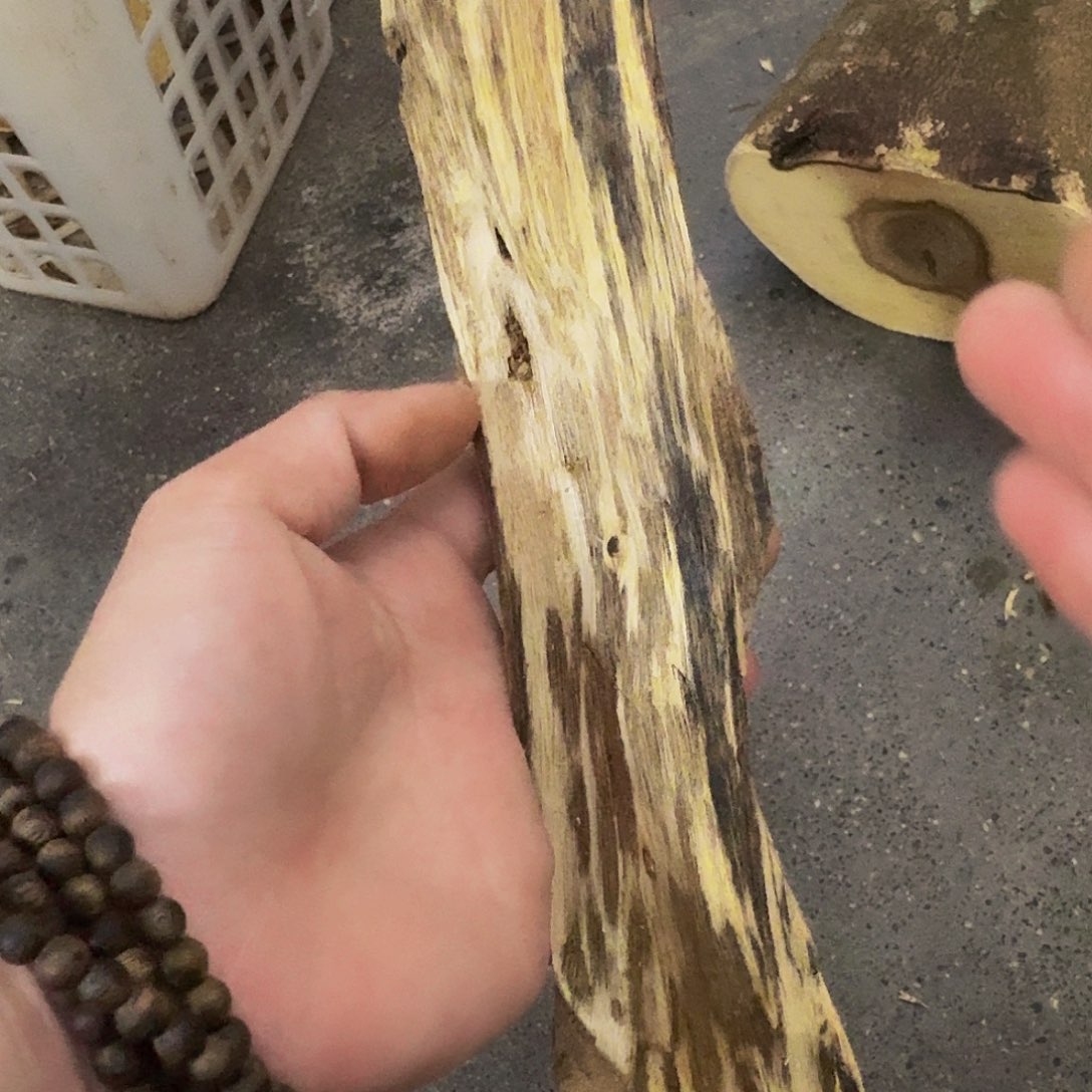 沉香碎屑沉香绿棋虫漏半成品