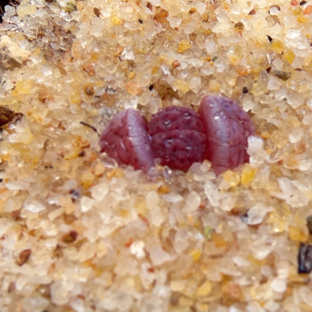 050。 88888888888888888888