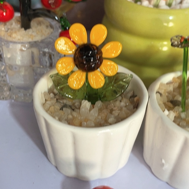 茶宠以*?我也想你啊我也想和你