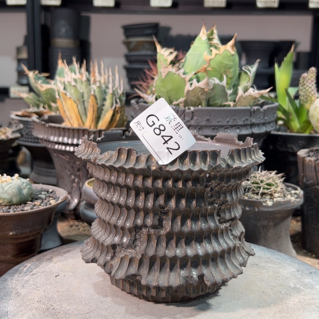 景德镇手工素里内口13.5高12.5