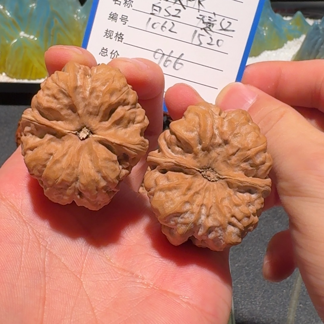 猕***酸天意神珠白狮子编号1062编号1520