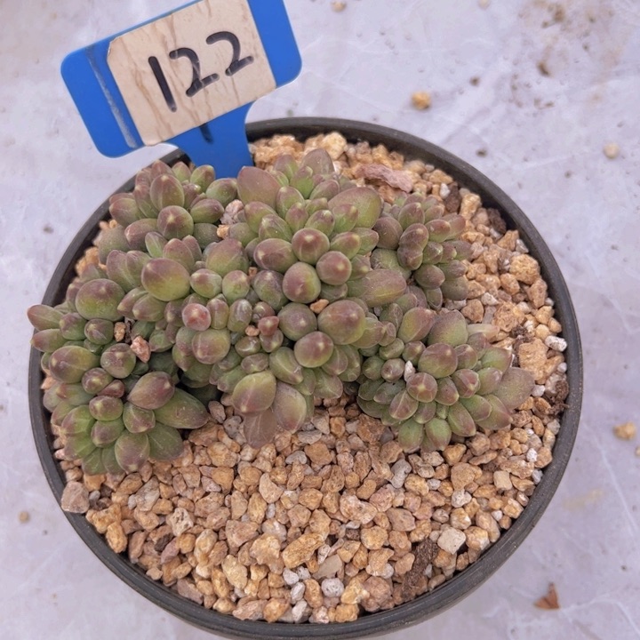 健健康康平平安安