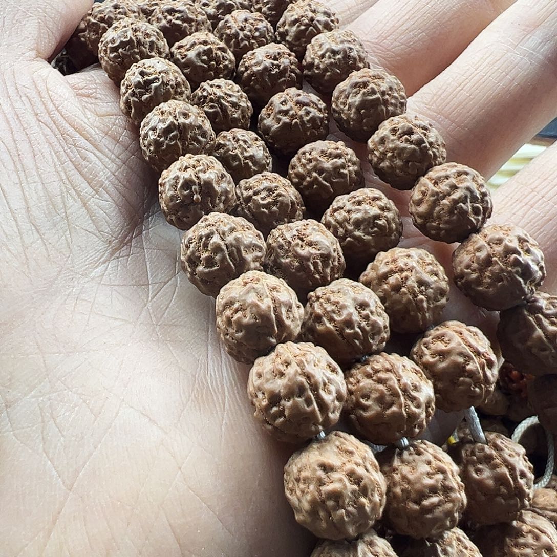 金刚菩提吊坠一代龙