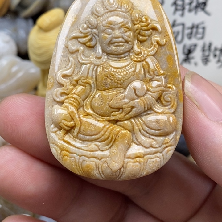 硅化珊瑚（珊瑚玉）未镶嵌颈饰