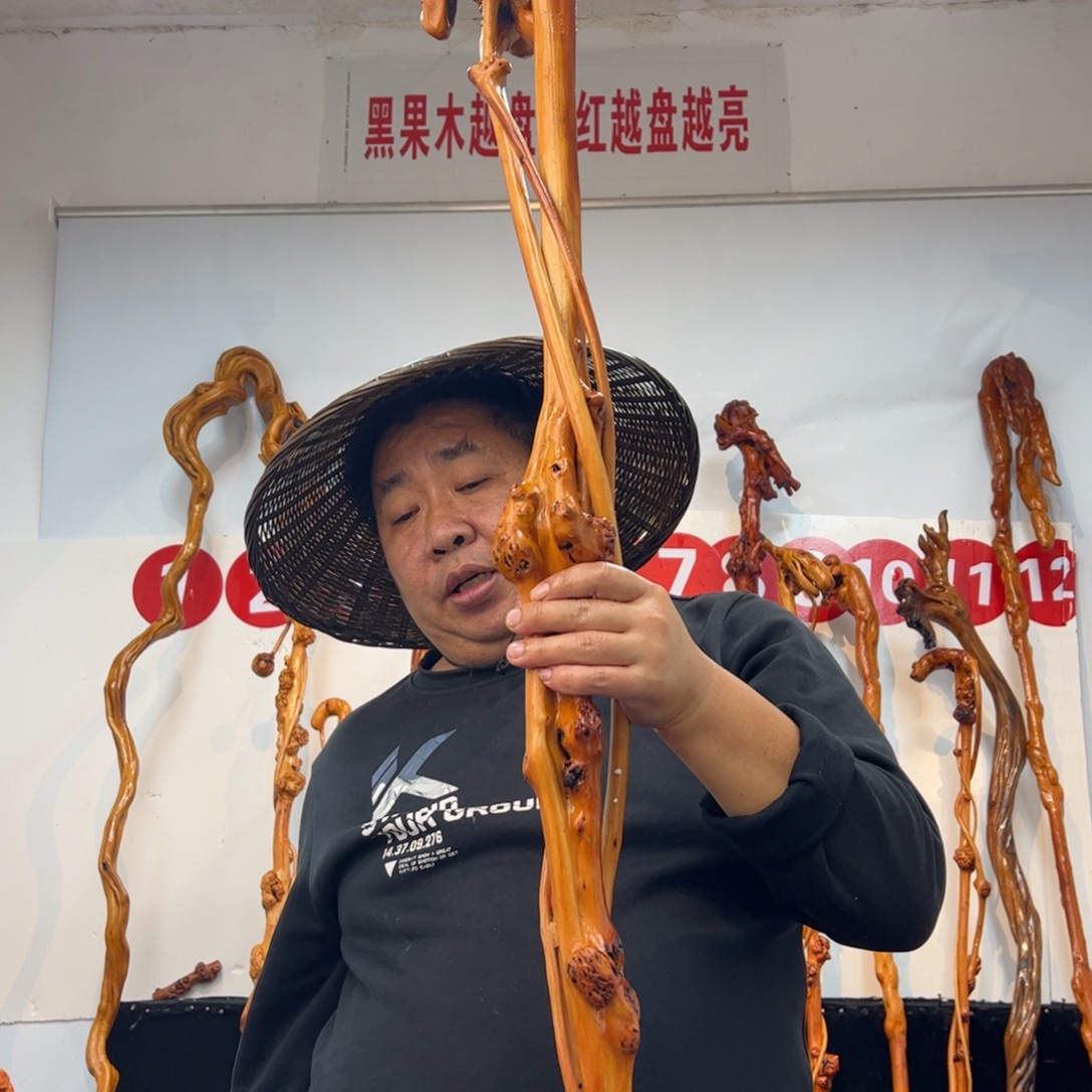 m***富黑果木其他黑果木134