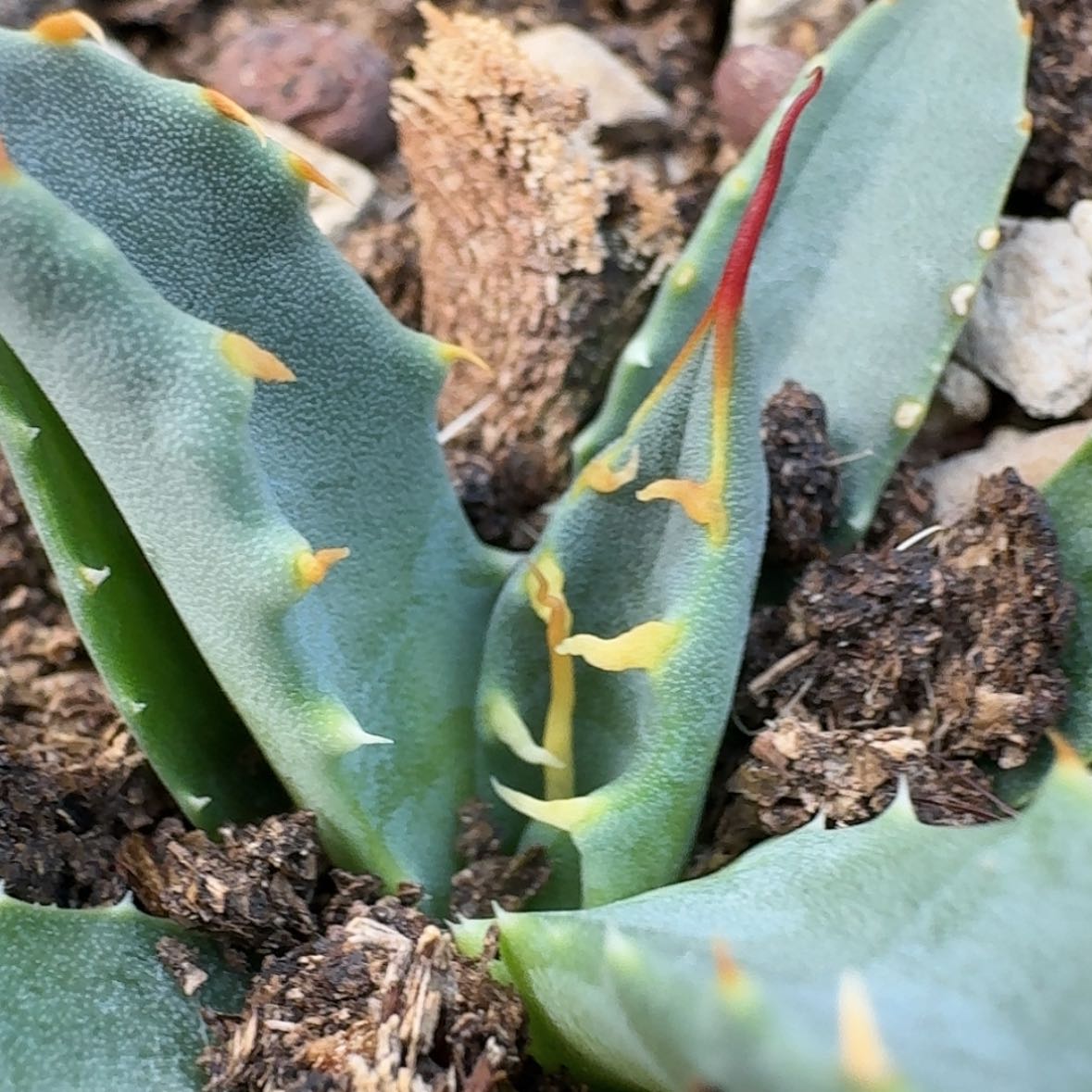 【闪购商品】14哈哈哈哈哈哈哈