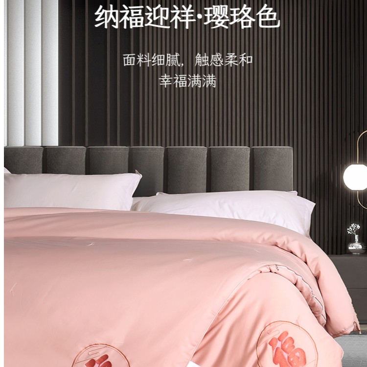 全棉蚕丝被内胆套保护罩不单卖