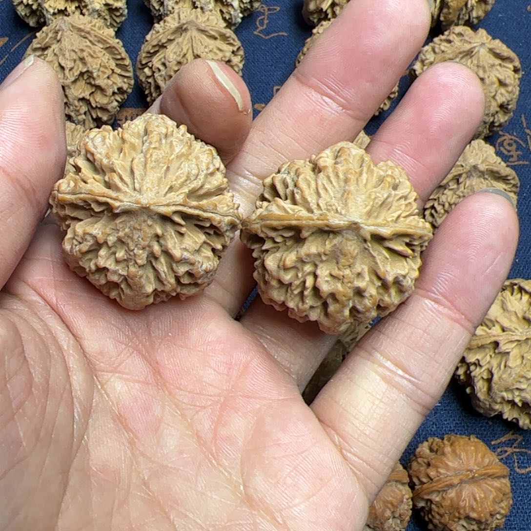 文玩核桃把件秦岭野生植物核桃