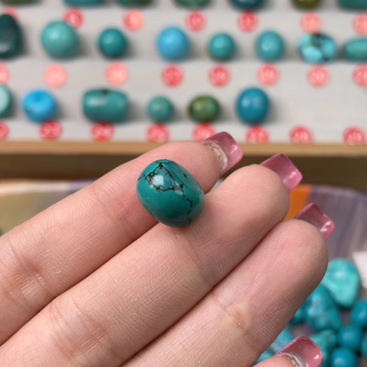 纳菲粉丝专属福利