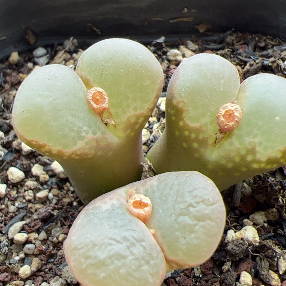 大家过年好22792