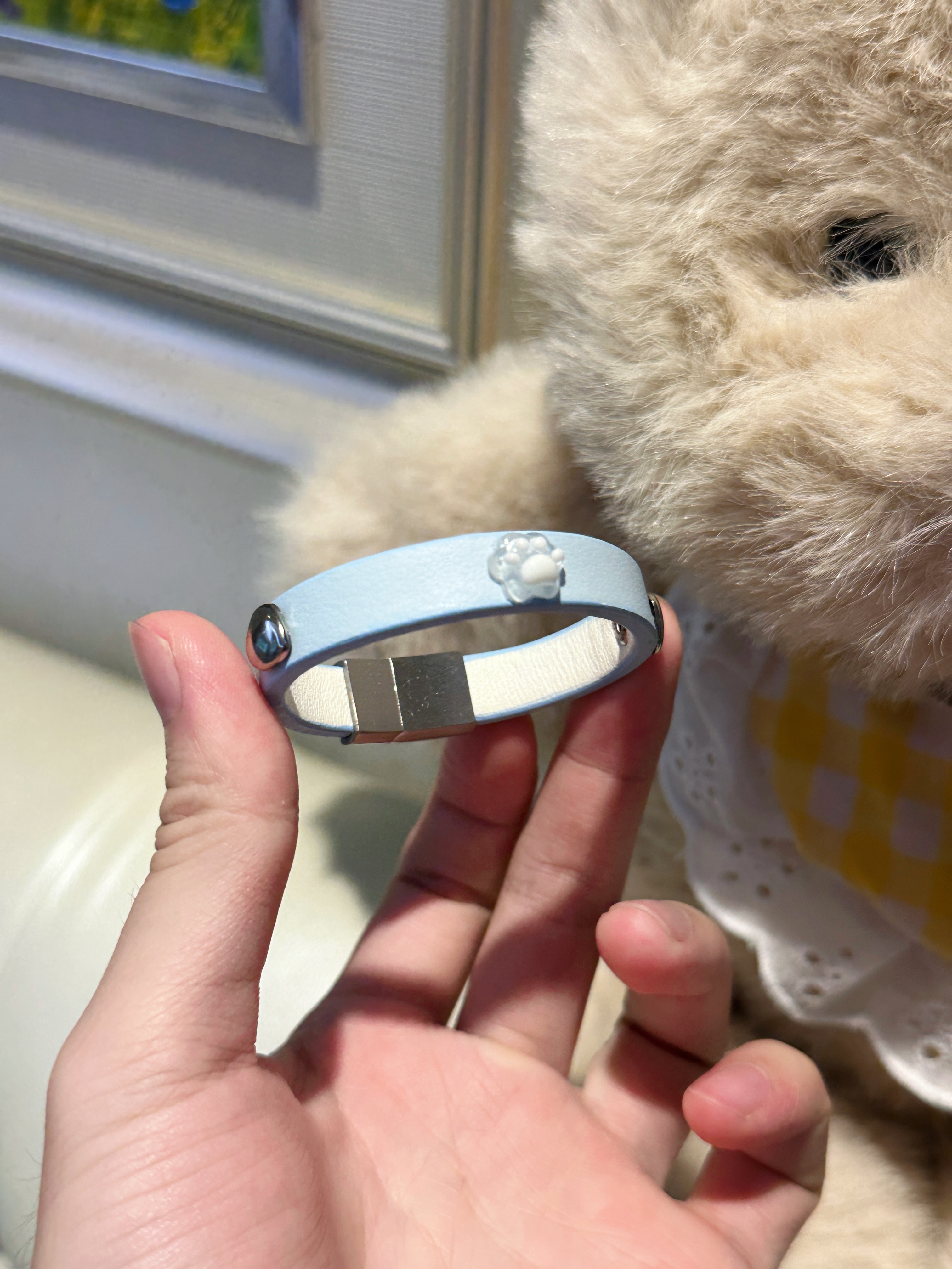 合金磁铁手链 PuppyJoy「猫爪马卡龙」蓝色牛皮磁吸choker可爱手环