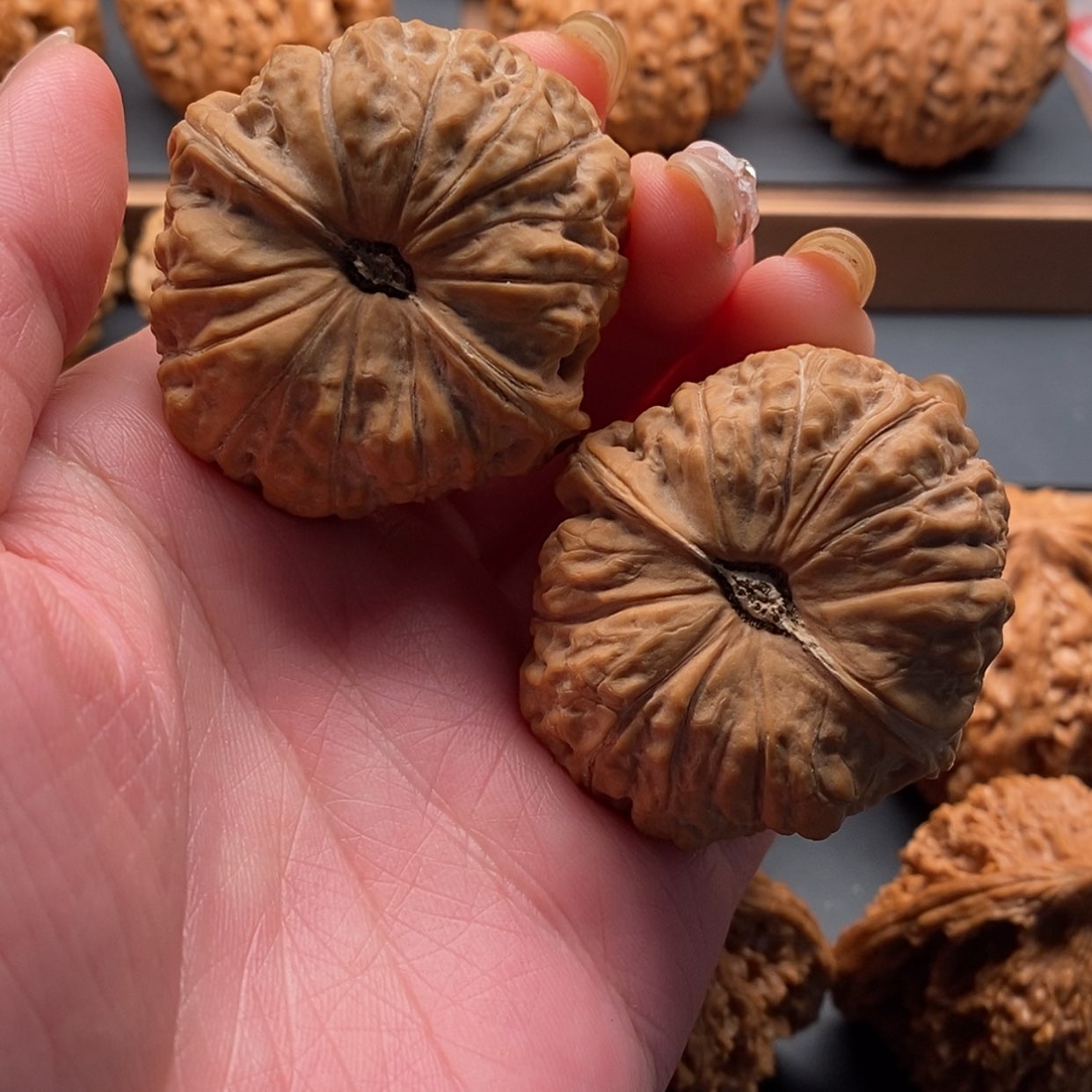 【闪购商品】文玩核桃把件南瓜41