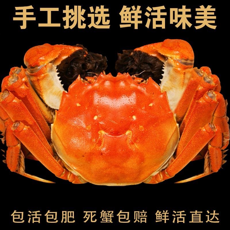 【活蟹】现捕现捞大闸蟹公6-5.7两母4-3.7两共10只 H