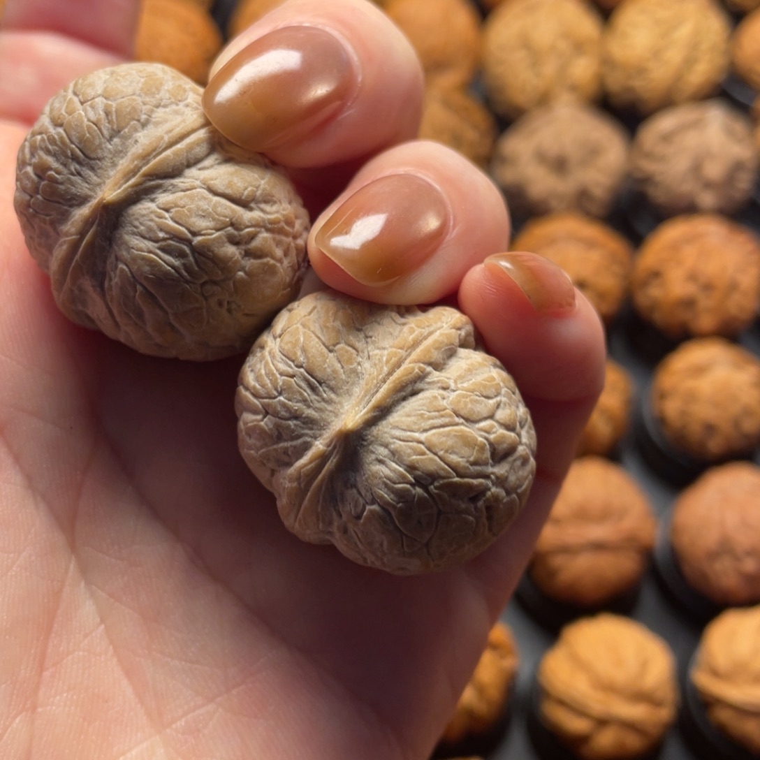 林***贵文玩核桃把件核桃