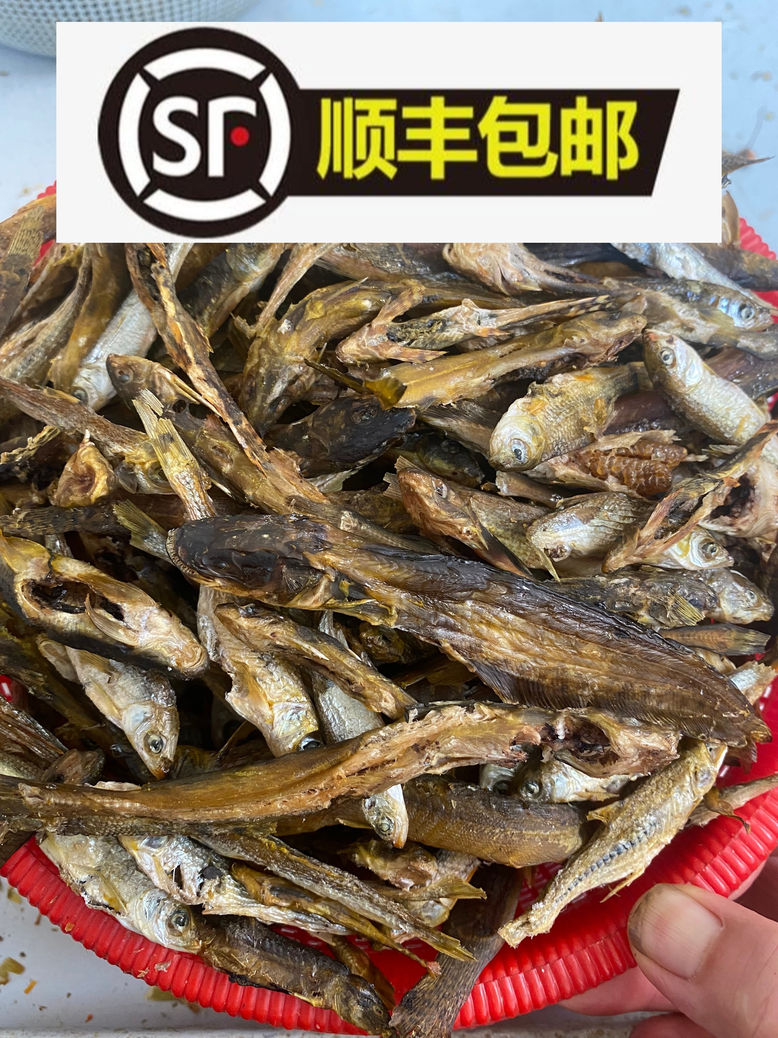 广西野生杂鱼干小杂鱼原味炭火烘焙马尾鱼船钉小杂鱼小鱼干
