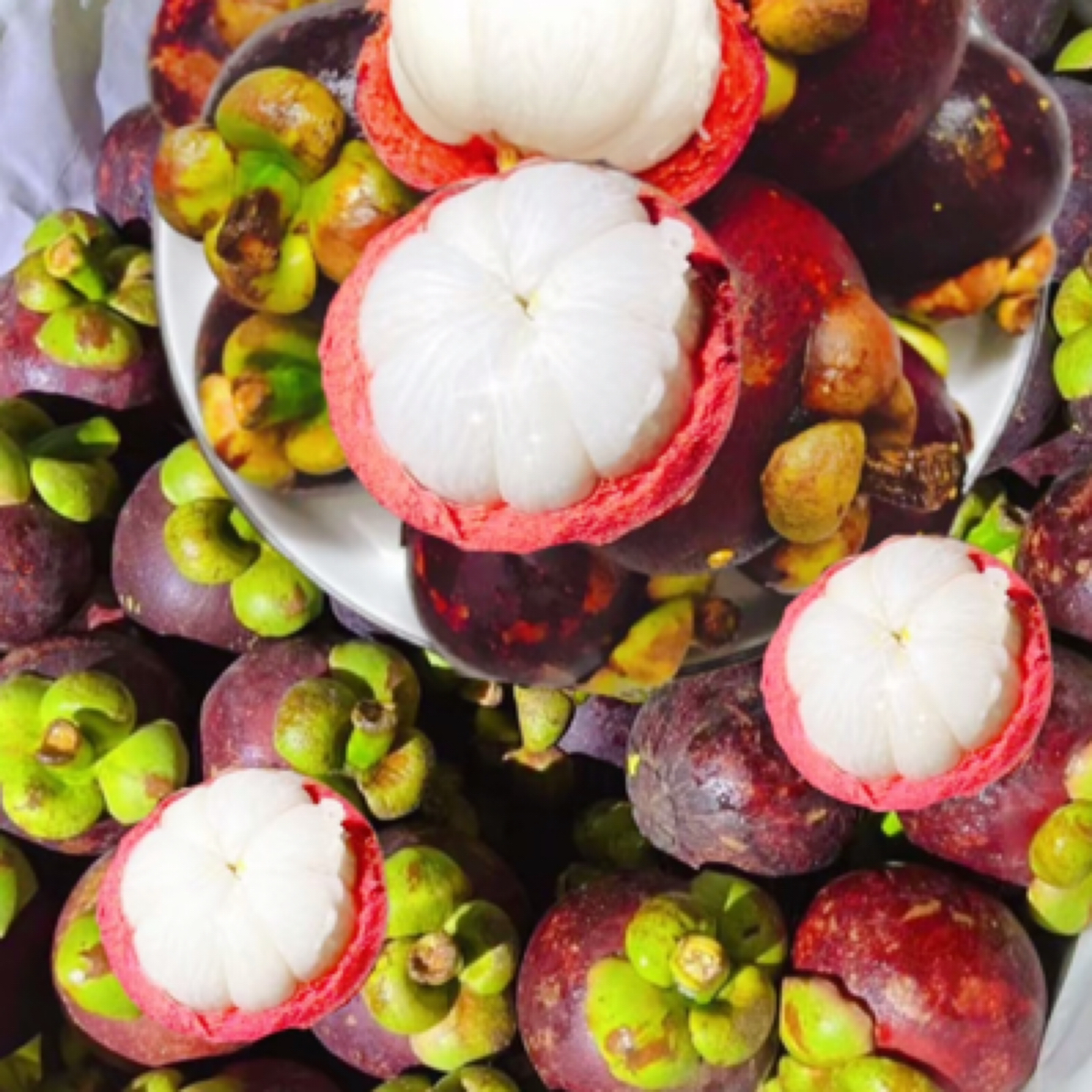 老树麻住山竹2斤4A果面难看