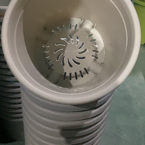 树脂四季3号微瑕灰白无托10个