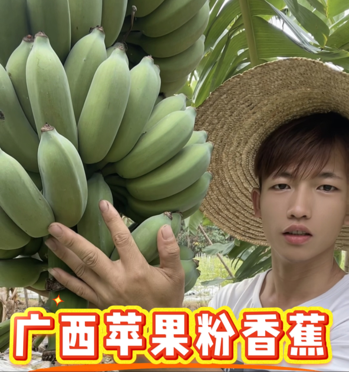 直播专属广西苹果蕉香蕉小米蕉当季新鲜水果芭蕉苹果粉蕉