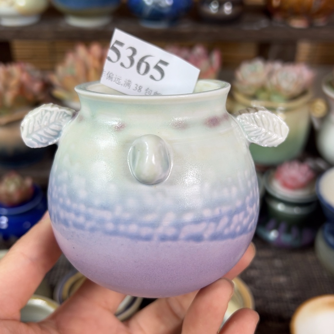 红陶景德镇陶瓷……