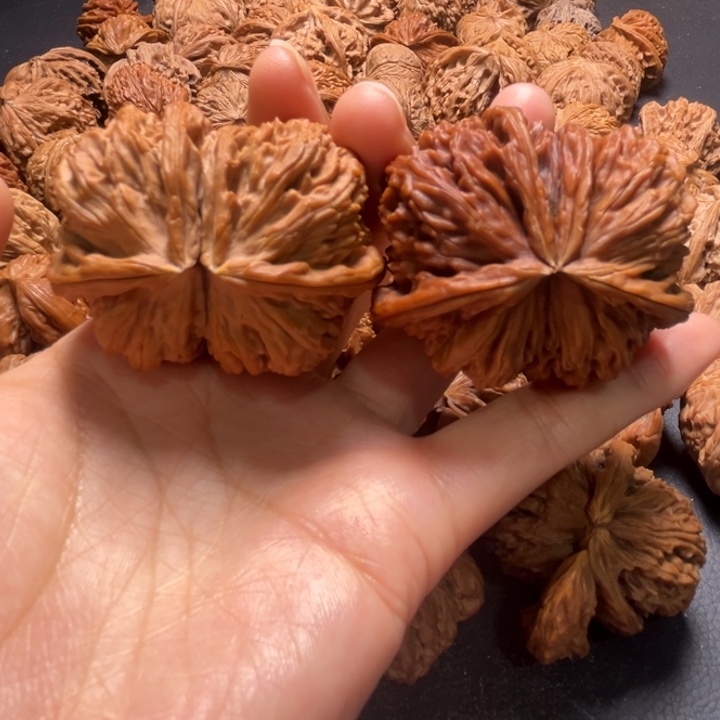 白狮子龙首球连49尺寸核桃哈哈哈哈