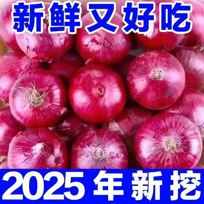 新鲜紫皮红皮水果洋葱可生吃脆甜适合凉拌炒菜