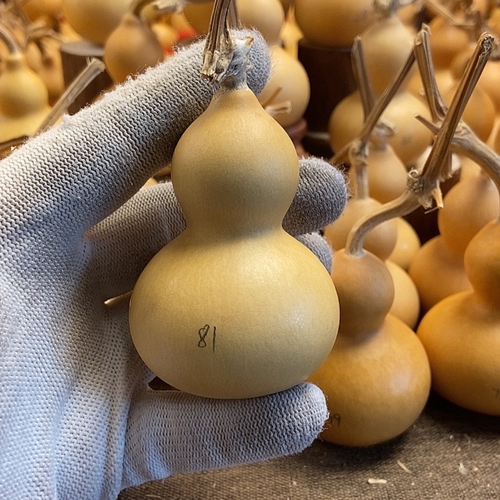 文玩葫芦 完美主义者 慎拍81