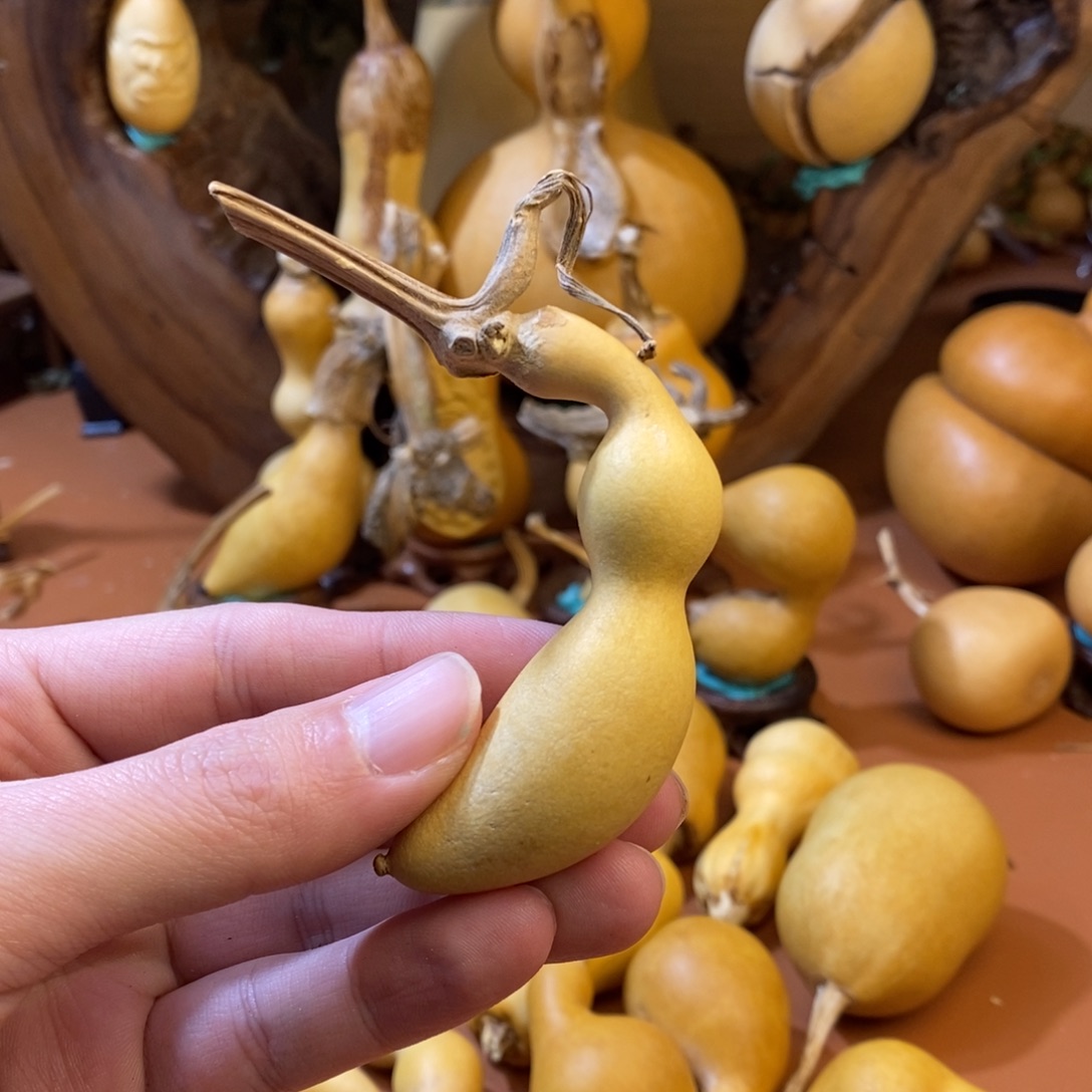 喝***吐教练教练路途咯教练