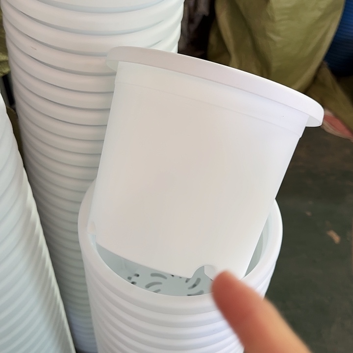 四季3号纯白无托10个特价微瑕