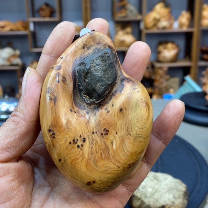 柏木（崖柏）崖柏1