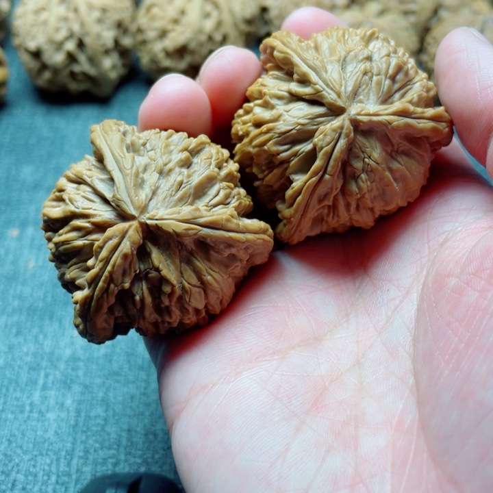 手工三棱白狮子三棱