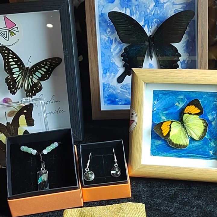 春节七件套蝴蝶文创产品：三种相框，塑胶盒，项链耳环胸针