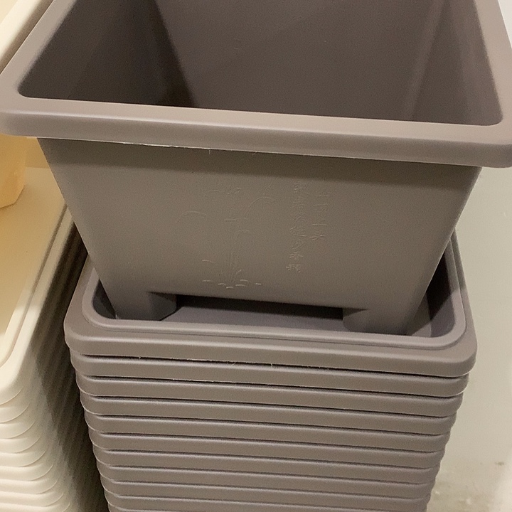 方球根口27高19咖色5个带托