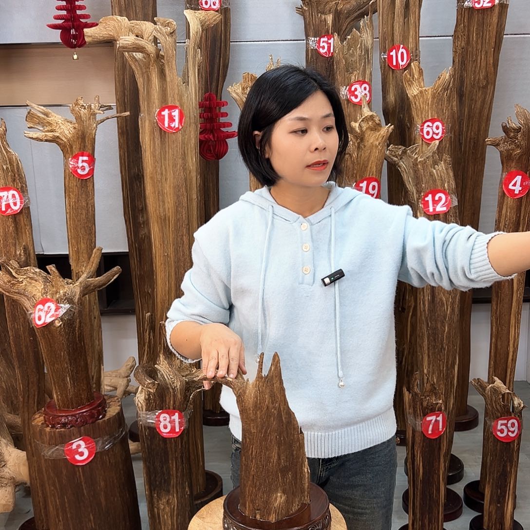 沉香摆件海南沉香摆件