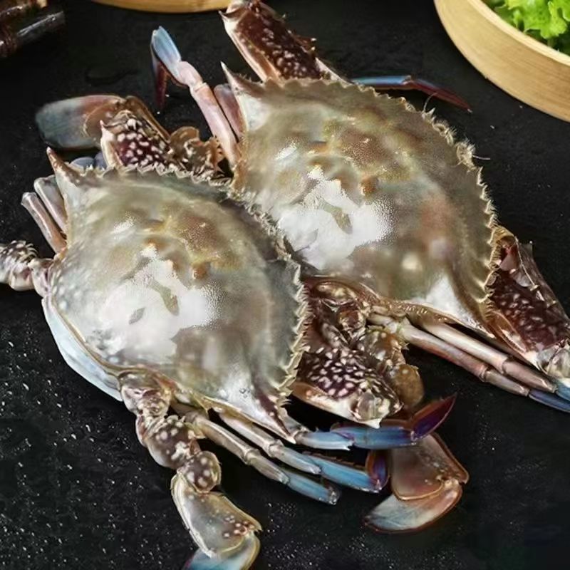 q【冻蟹爆炒】连云港发货母蟹3-5俩一只 到手4斤