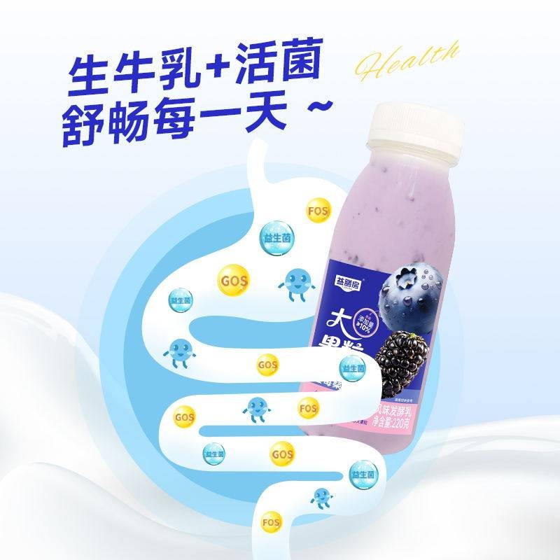 临沂益膳房PET蓝莓桑葚味双拼大果粒酸奶220g×10瓶生牛乳整箱早餐