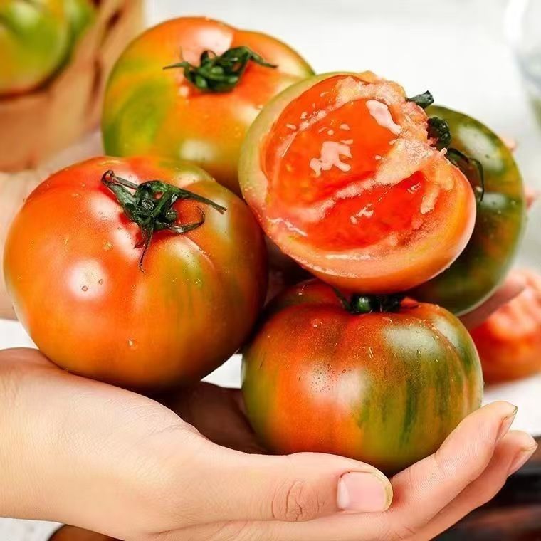 【新鲜草莓西红柿3/5斤】自然成熟 现摘现发 酸甜多汁 生吃炒菜都好吃北京市