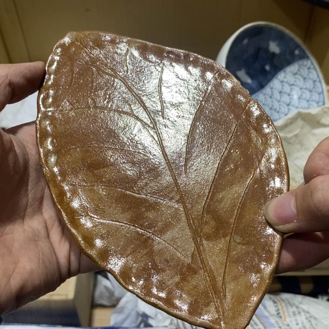 摆件变成细菌学家就细菌学家
