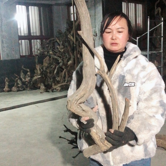 核桃木/黑胡桃（胡桃木）