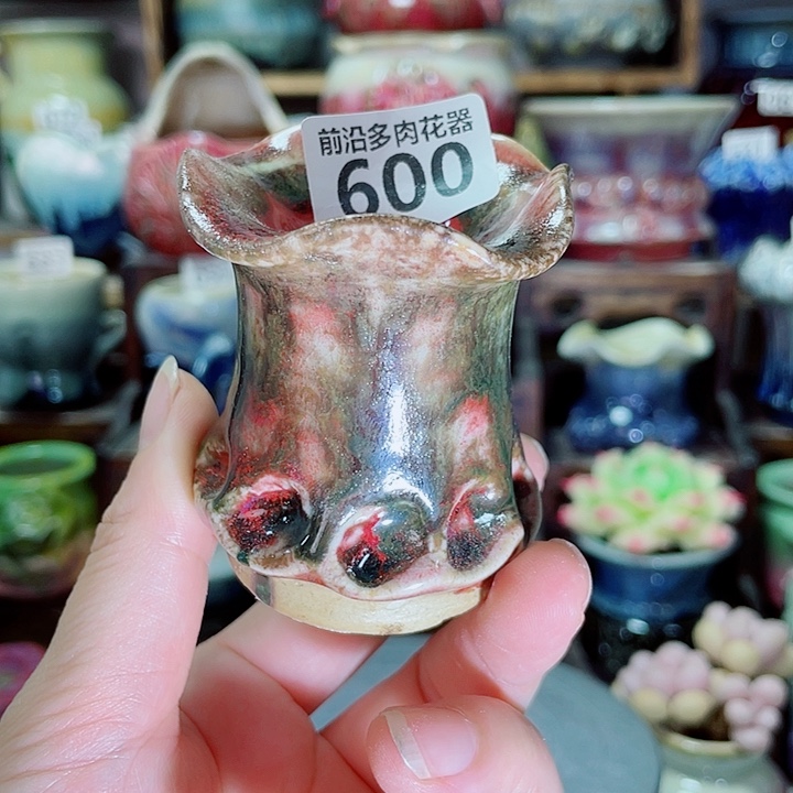 狼盆内口径3高度6