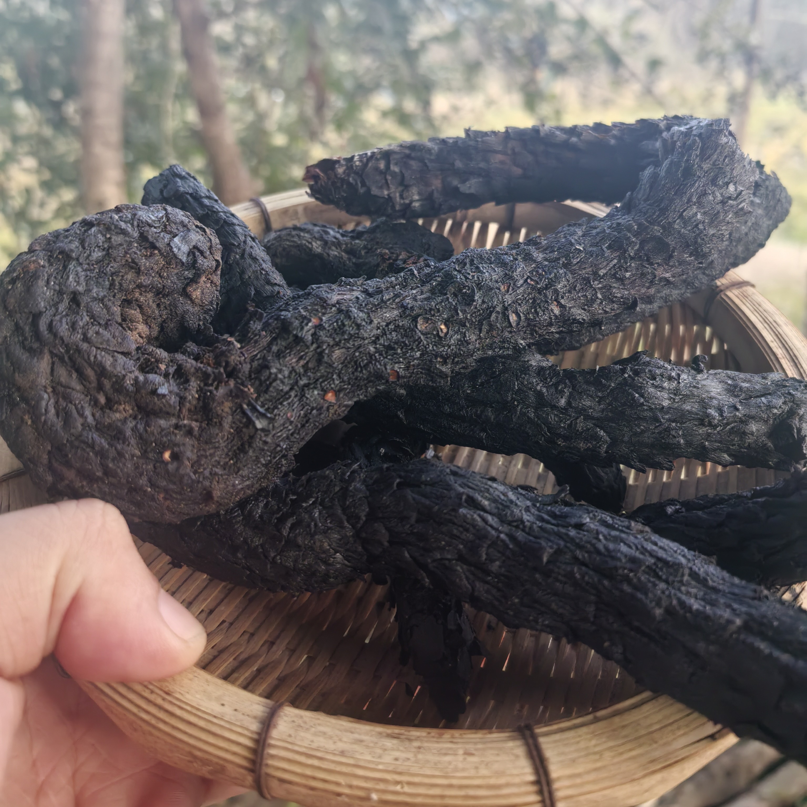 云南边境好物肉C蓉