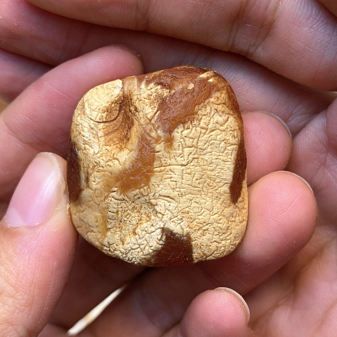 定制琥珀未镶嵌原石