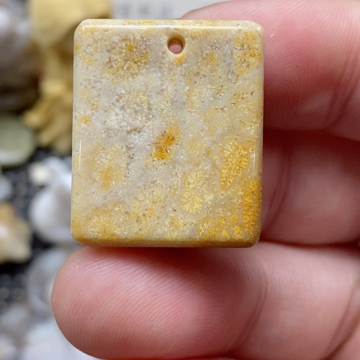 颈饰未镶嵌硅化珊瑚（珊瑚玉）小