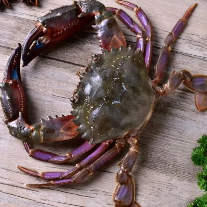 大连 赤甲红3/4斤 顺风包邮